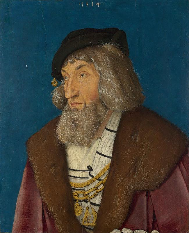 Hans Baldung Grien Portrait of a Man oil painting picture